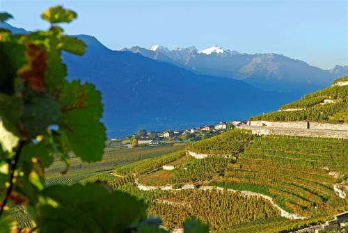 12 spécialités valaisannes: Le Valais hors fendant
