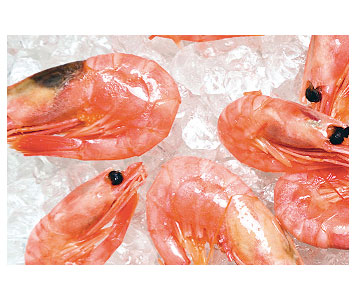 Crevettes congelées