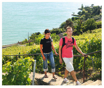 Flâner dans les vignes