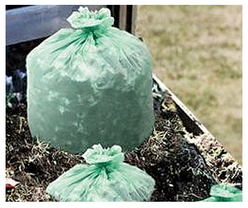 La lente dégradation des sacs biodégradables