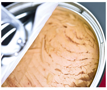 Poissons à l’histamine