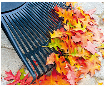 Chanson des feuilles mortes