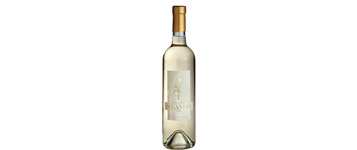 12 vins blancs Suisses monocépages: des blancs mi-figue, mi-raisin
