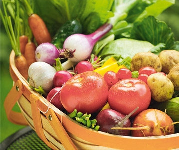 Immigration  de légumes
