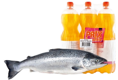 Du poisson dans le soda à l'orange
