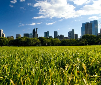 Ville ou campagne, que choisir?