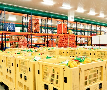 Fruits et légumes «frais» vieux d’un an