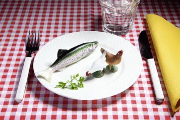  Poisson contre viande