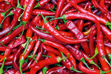 Le piment brûle la bouche. Pourquoi?