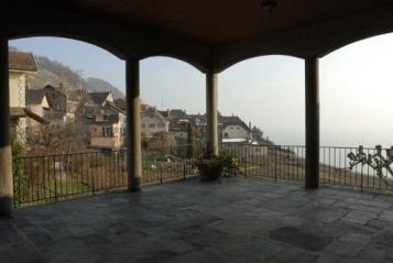 12 chasselas vaudois: Grands vins vaudois en désordre
