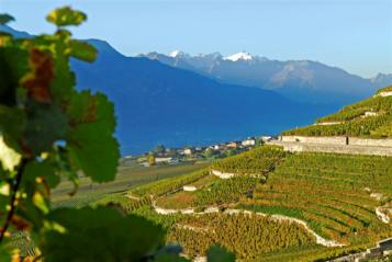 12 spécialités valaisannes: Le Valais hors fendant