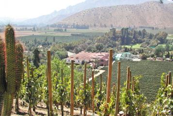 12 rouges des Andes: Les Andes recto verso