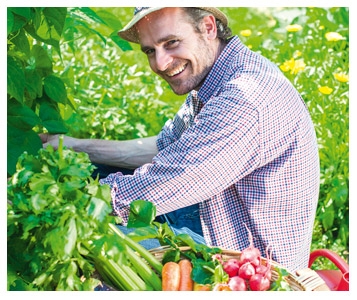 8 livres sur les jardins potagers: Un potager aux petits oignons