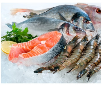 Et voici les poissons de mer suisses…