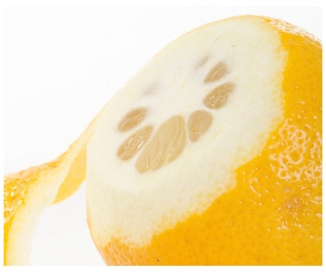 Citron: un zeste de bienfaits