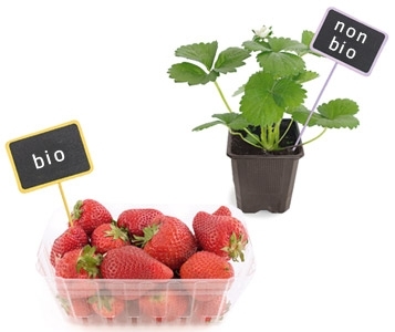 Fruits et légumes bio pas toujours bio