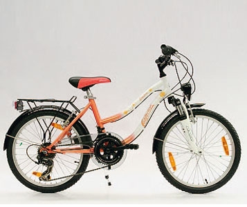 10 vélos pour enfants: Le diable se cache dans les détails
