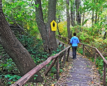Promenons nous dans les bois
