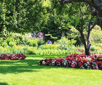 Un jardin qui fleurit sans peine