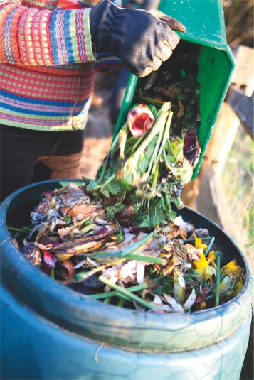 No compost!