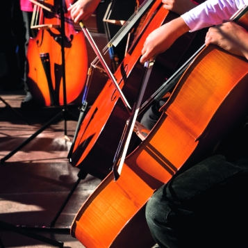 Petits ruisseaux, grands concerts