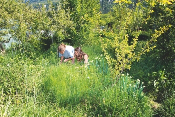 Ramener la nature  dans son potager