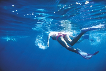 Une eau de plus en plus transparente