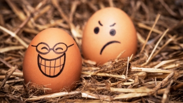 Œufs: mais que disent leurs coquilles?