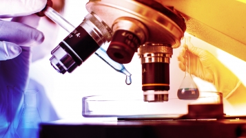 Sucreries gorgées de nanoparticules!