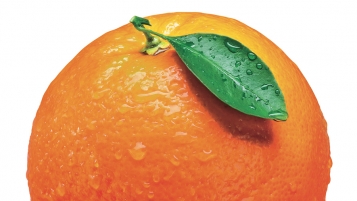 Une goutte de FairTrade dans un océan d’oranges