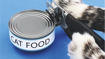 Guide d'achat: Nourriture pour chat 