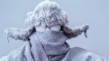 Aucun froid ne mène au rhume