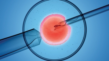 La fécondation in vitro toujours pas remboursée par les assurances