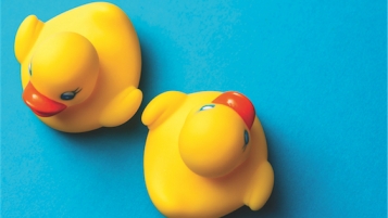 Infects canards de bain