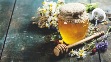 Le miel et ses secrets