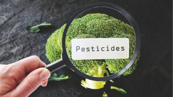 Dicamba, une licence pour tuer