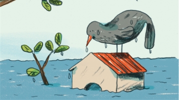 Parer au feu, à l’eau et au vent