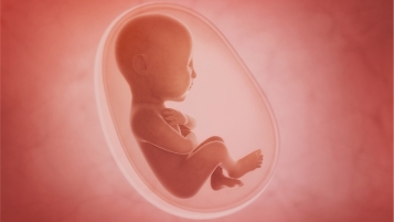 Les vertus cachées du placenta