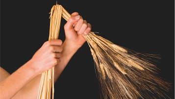 Renoncer au gluten: une tendance risquée