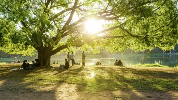 138 millions gaspillés pour la vitamine D