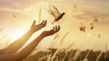 Quand la perte d’un enfant ne suscite aucune empathie
