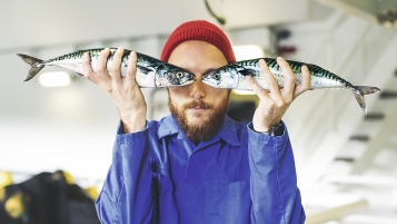 Poissons: le label MSC n’est pas la panacée