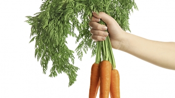 Mêmes légumes à prix différents
