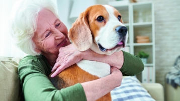 Locataires, renseignez-vous avant d’adopter un animal