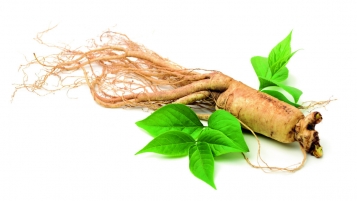 Mauvais sommeil: dois-je prendre du ginseng?