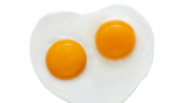 Un œuf, deux jaunes 