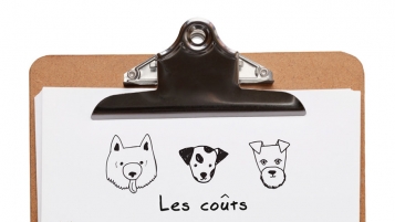 Des canidés qui coûtent un bras