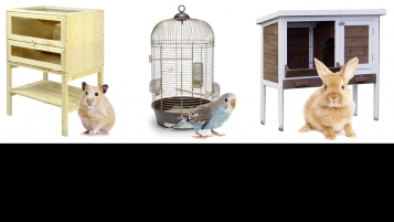 Les brochures d’infos indispensables pour la détention de petits animaux