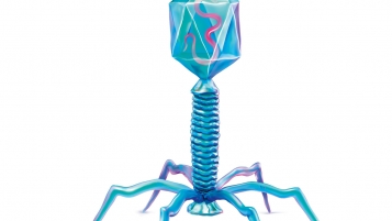 Se soigner avec des virus