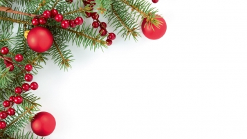 Un sapin, oui, mais écolo